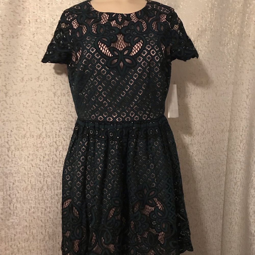 Eliza J. Gold dress with black and green lace, 8P